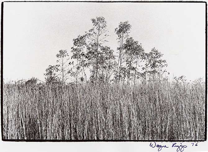 Wayne Riggs &copy; 1975, Untitled : 6 x 8 in. Photograph , Kodalith on gelation paper,Black and White version of a Brown Print , collection of the artist.