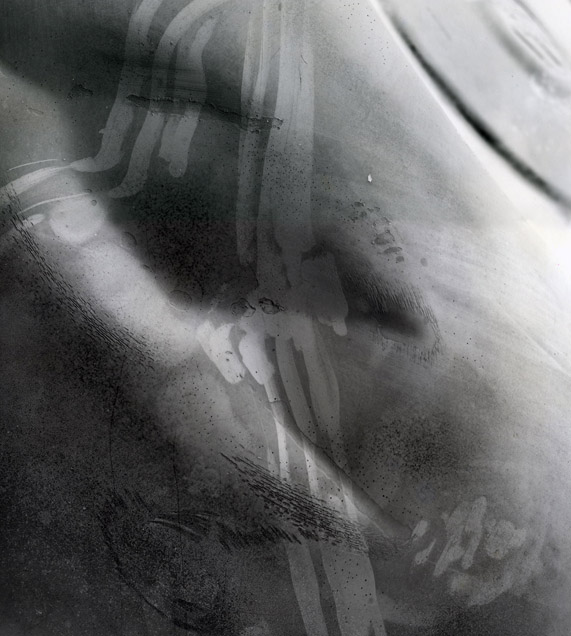 Wayne Riggs &copy; 1983